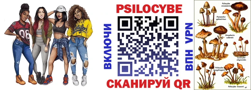 купить   Ноябрьск  omg вход  Галлюциногенные грибы мицелий 
